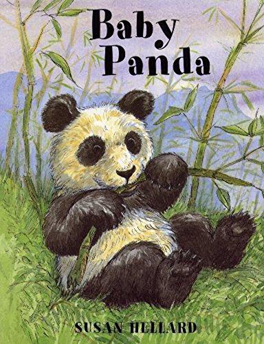 Baby Panda