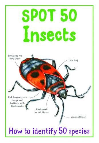Spot 50 - Insects