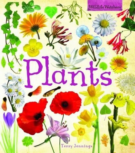 Plants
