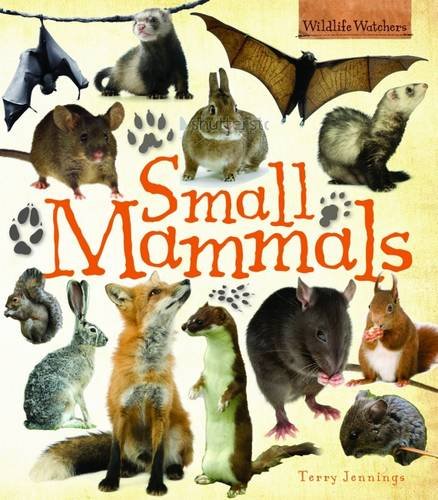 Small Mammals