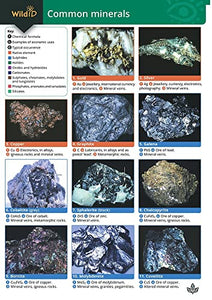 Guide to Common Minerals 