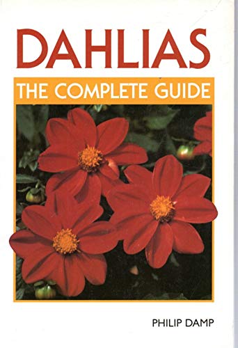 Dahlias