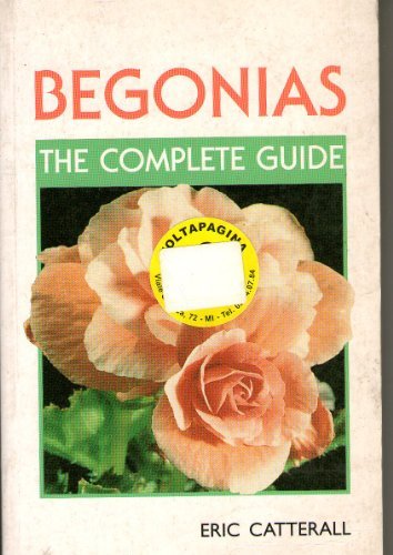 Begonias