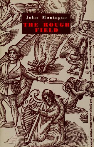 The Rough Field