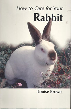 How to Care for Your Rabbit
