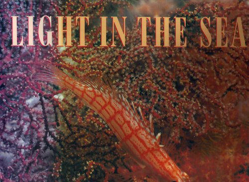 Light in the Sea