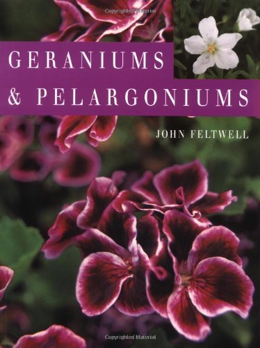 GERANIUMS & PELARGONIUMS