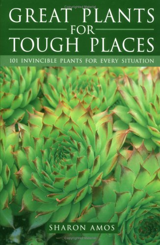 GREAT PLANTS FOR TOUGH PLACES