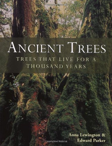 ANCIENT TREES