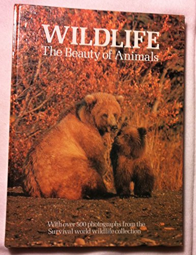 Wildlife the Beauty of Animals