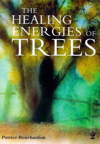 The Healing Energy Of Trees