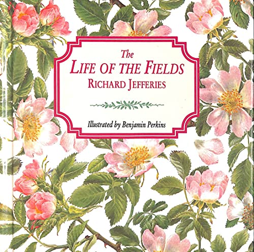 The Life of the Fields