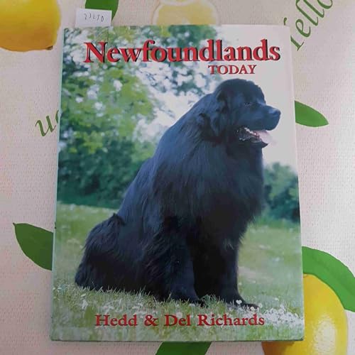 Newfoundlands Today