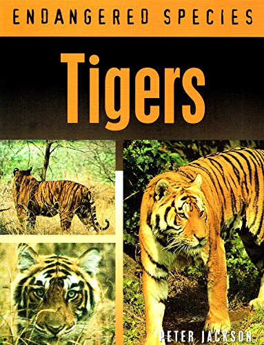 Tigers