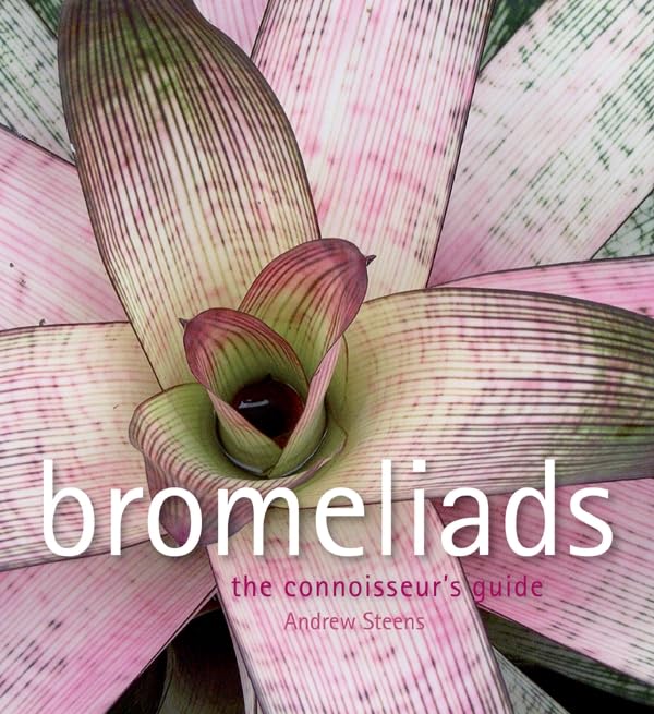Bromeliads