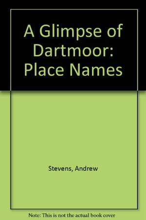 A Glimpse of Dartmoor