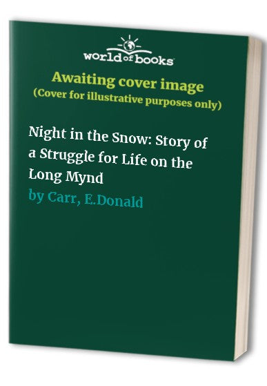 Night in the Snow