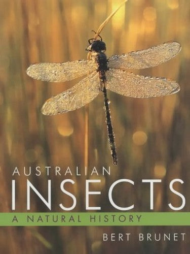 Australian Insects