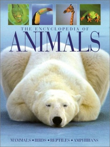 The Animals