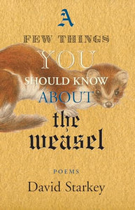 A Few Things You Should Know About the Weasel 