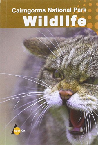 Cairngorms National Park Wildlife