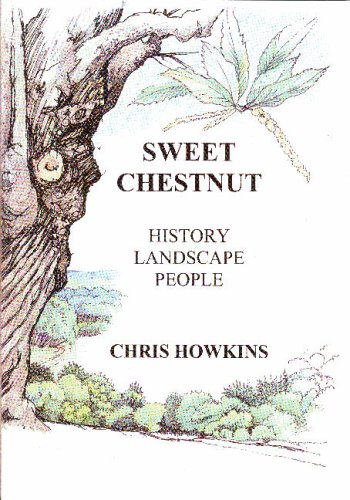 Sweet Chestnut