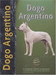 Dogo Argentino 
