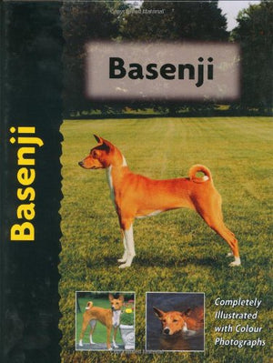 Basenji