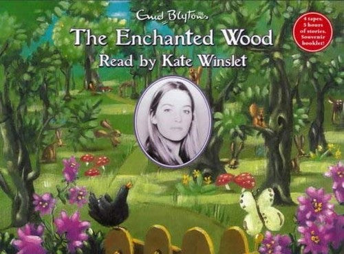 The Enchanted Wood