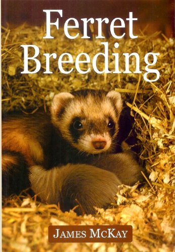 Ferret Breeding