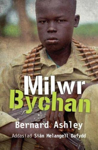 Milwr Bychan 