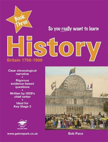 So You Really Want to Learn History Book 3