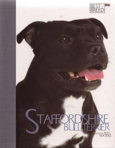 Staffordshire Bull Terrier