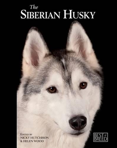 Siberian Husky
