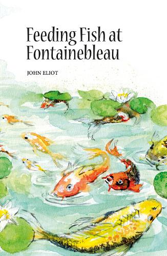 Feeding Fish at Fontainebleau