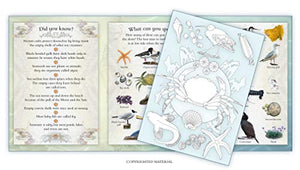 Seashore Activity Pack 