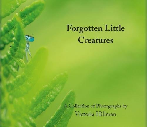 Forgotten Little Creatures