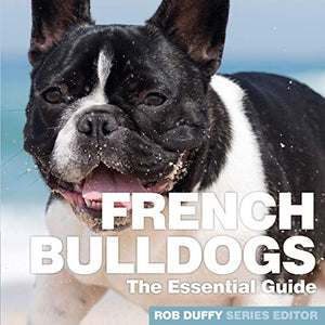French Bulldogs 