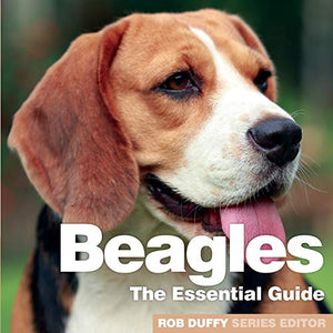 Beagles 