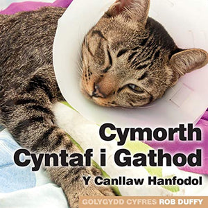 Cymorth Cyntaf i Gathod 