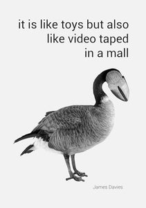 It Is Like Toys But Also Like Video Taped in a Mall 