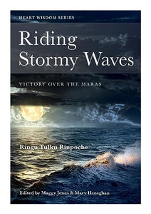 Riding Stormy Waves 