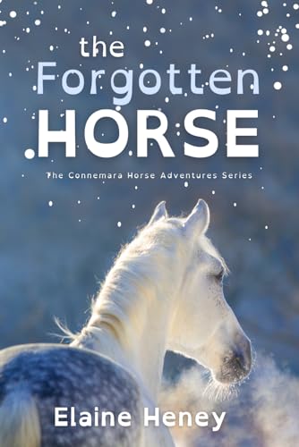 The Forgotten Horse - Dyslexia Friendly