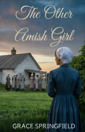 The Other Amish Girl