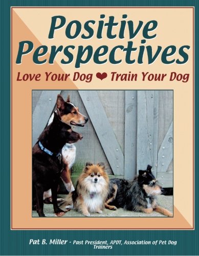 Positive Perspectives