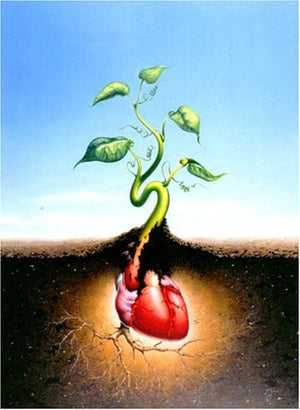 Tulip Farms and Leper Colonies