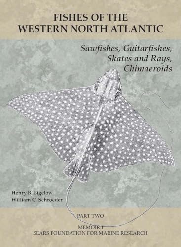 Sawfishes, Guitarfishes, Skates and Rays, Chimaeroids