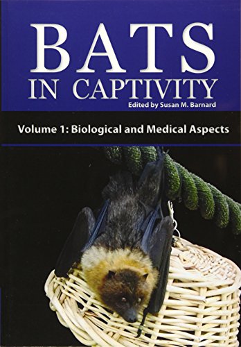 Bats in Captivity