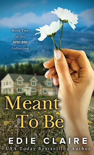 Meant To Be cover art