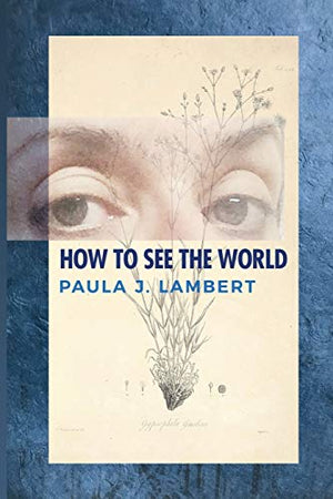 How to See the World